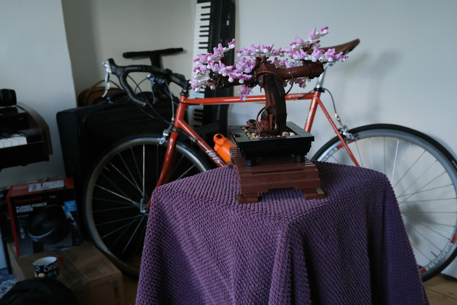 Sample from Mip-NeRF 360 - bonsai